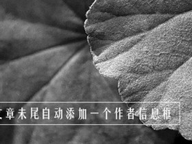 在WordPress 文章未尾自动添加一个作者信息框